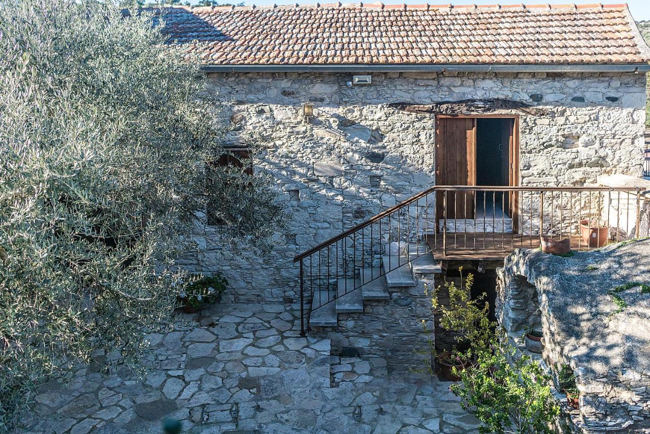 To Konatzi Tou Flokka Apartment Agios Theodoros Екстериор снимка