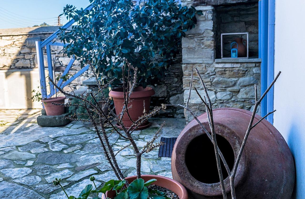 To Konatzi Tou Flokka Apartment Agios Theodoros Екстериор снимка